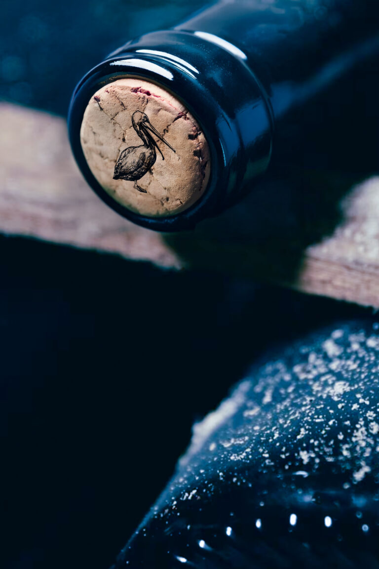 Wine grapes on the vine